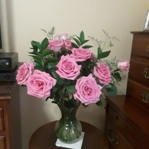 Meet your Posher, Amanda